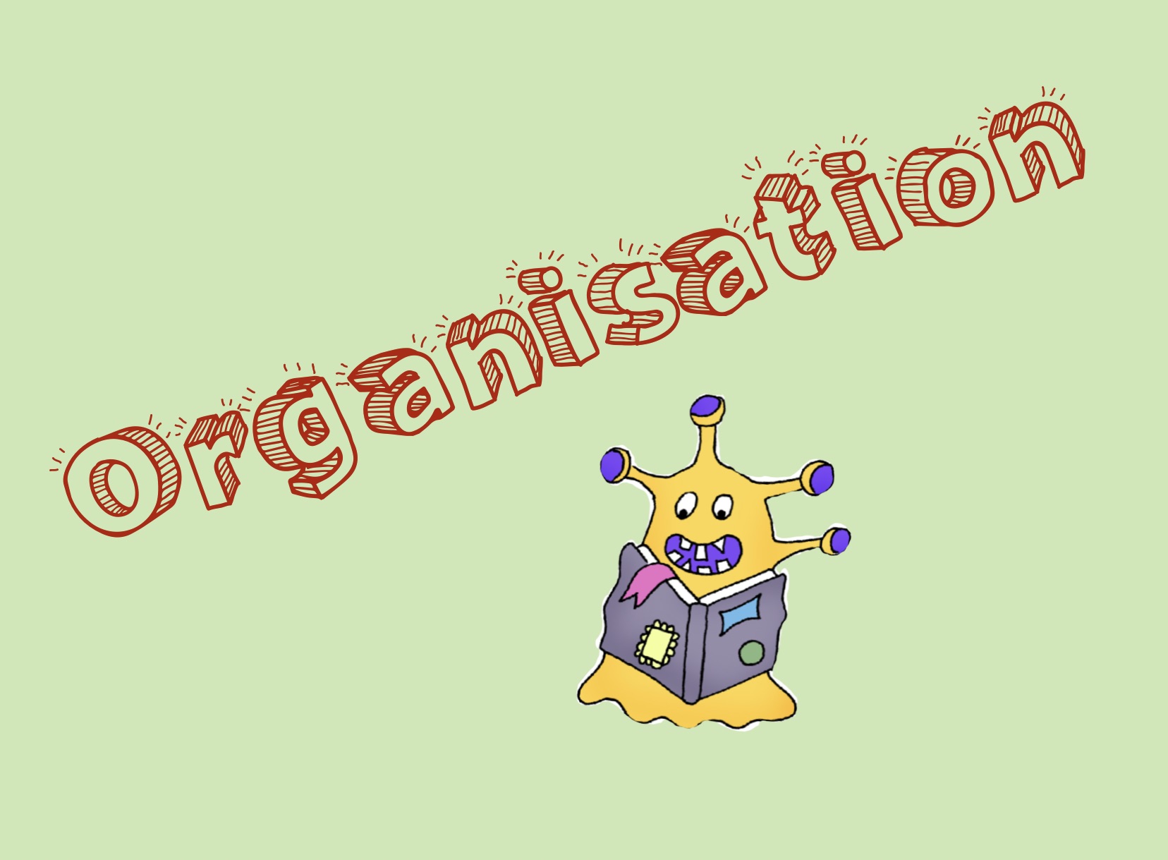 Organisation