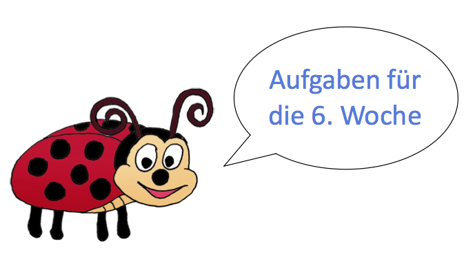 6. Woche